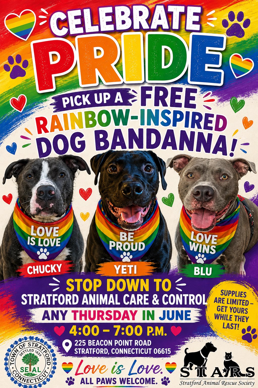 Celebrate Pride Dog Bandanna Giveaway