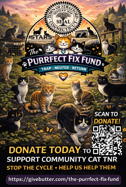 The Purrfect Fix Fund - Trap Neuter Return